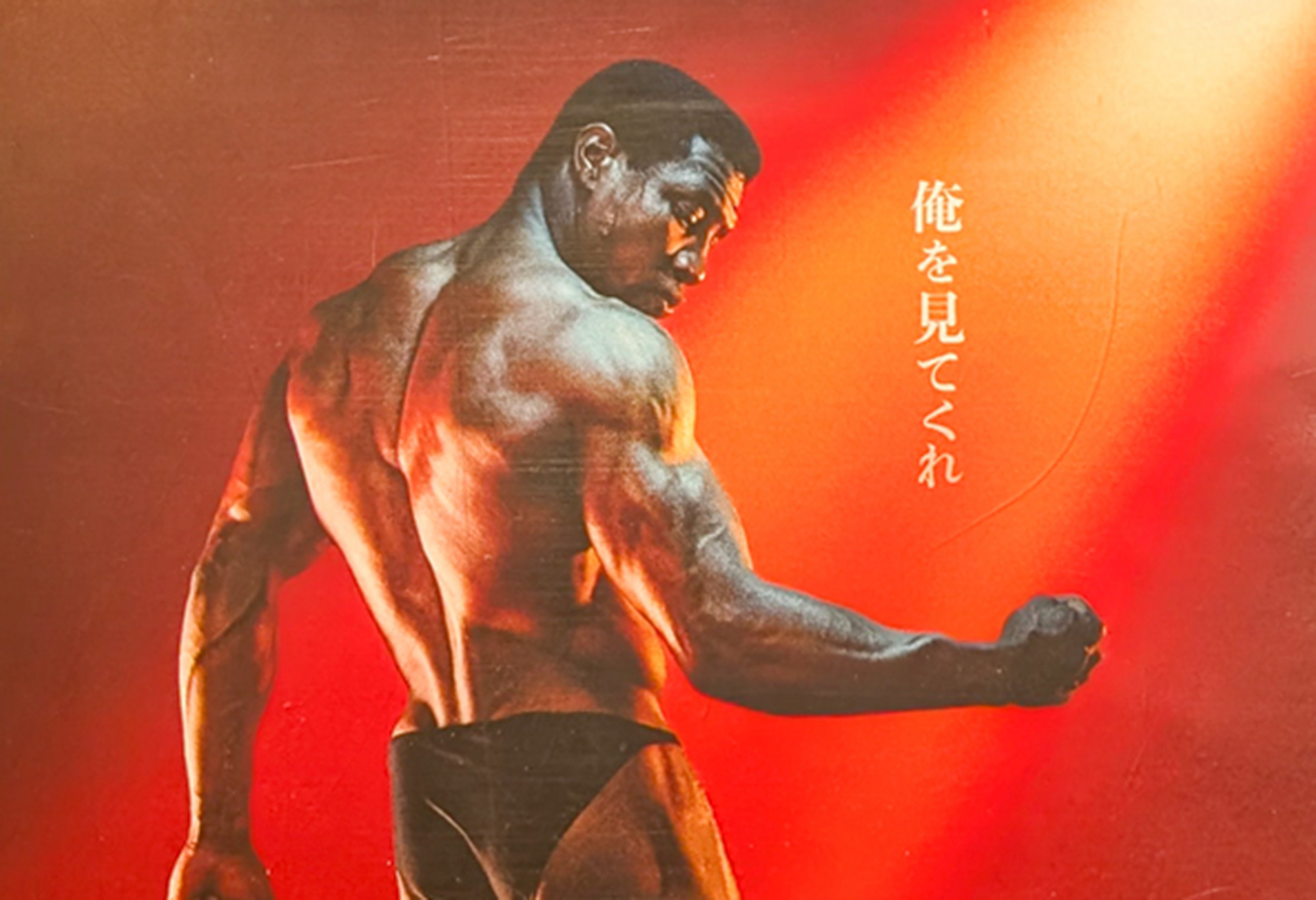 today’s display『ボディビルダー』